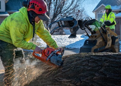 Certified Professionals Tree Service Perry City
