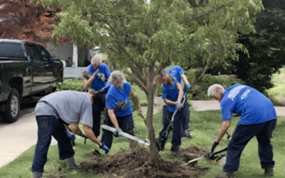 How Can Seniors Get Free Tree Removal Service?