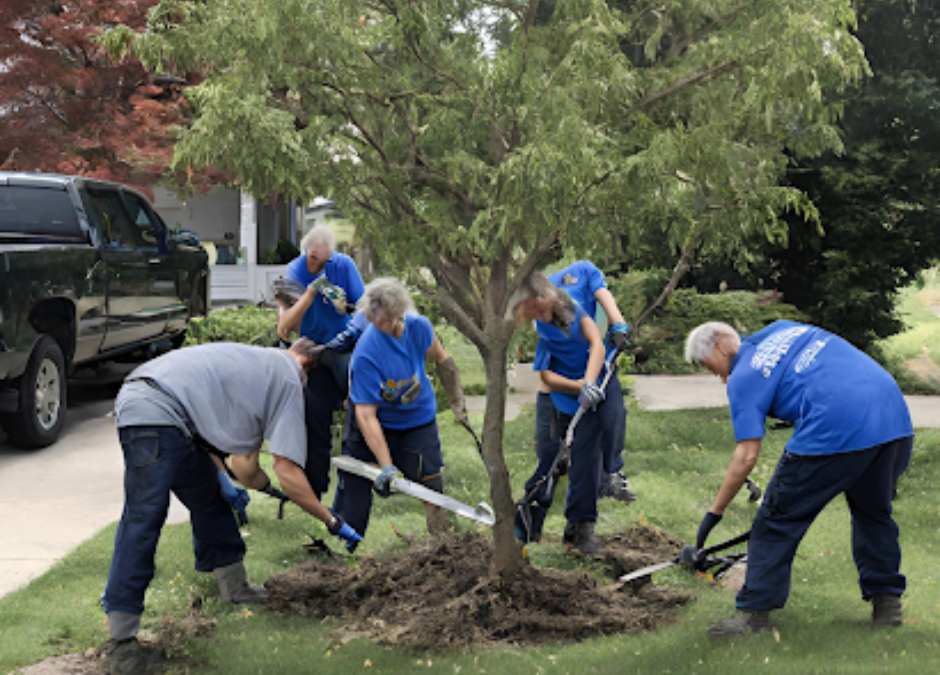 seniors get free tree removal service