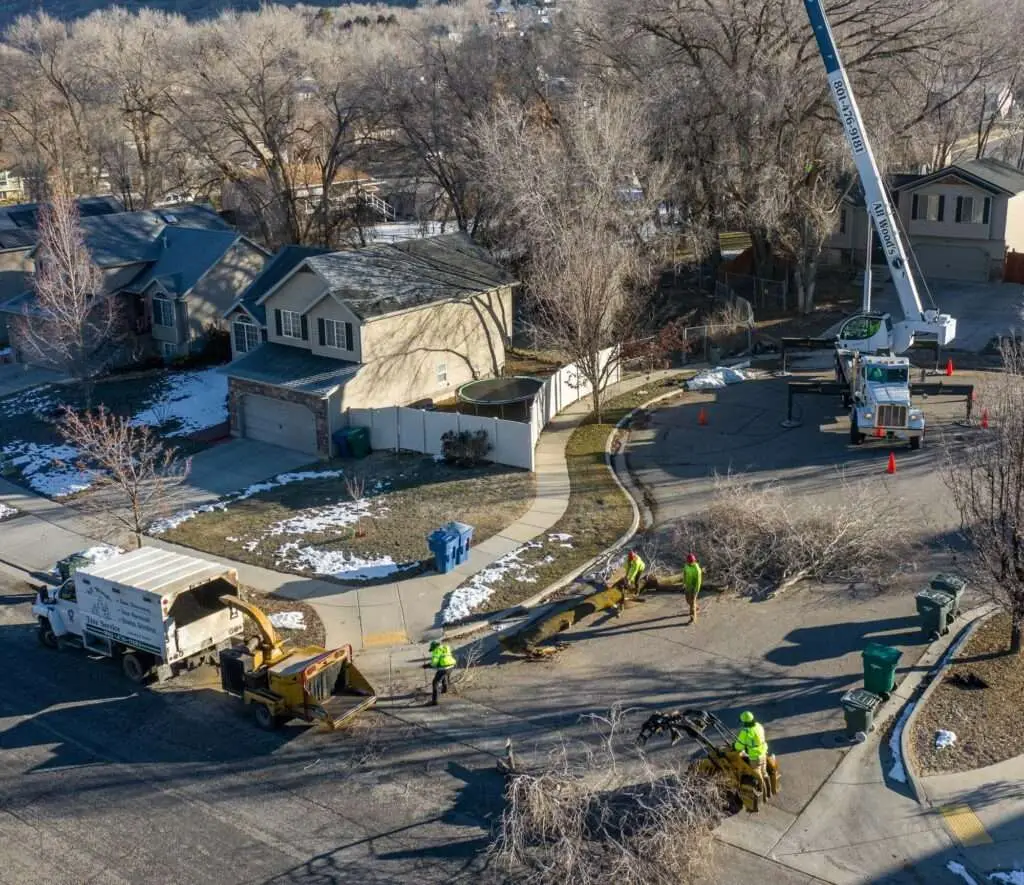 All Woods Tree Service Company Equipment Project