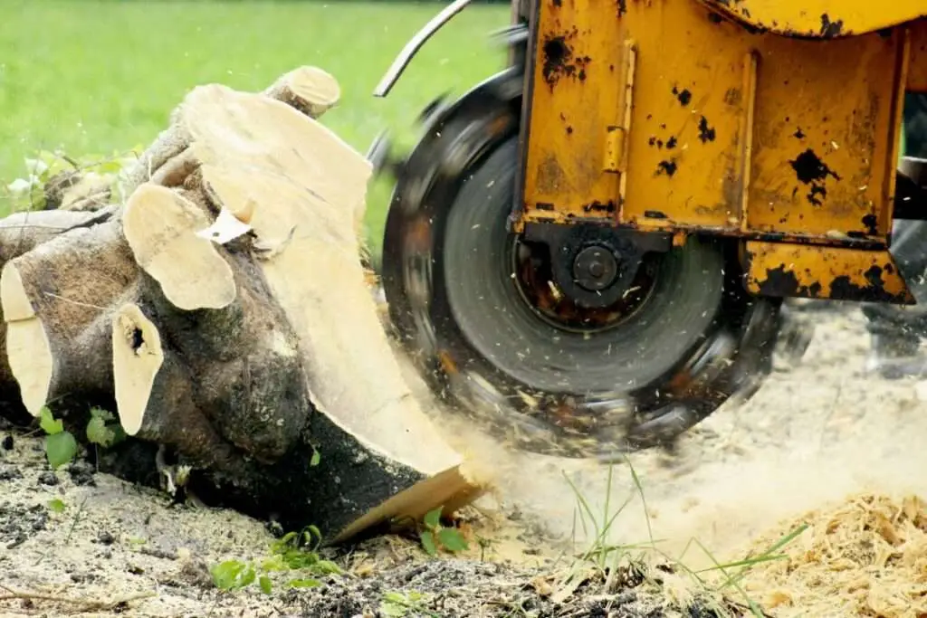 When to Use a Stump Grinder 7 what is a stump grinder