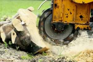what is a stump grinder