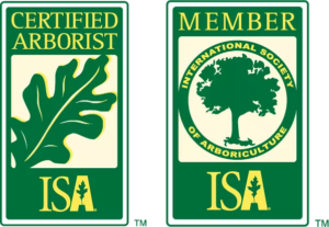 Badge_Member_ISA