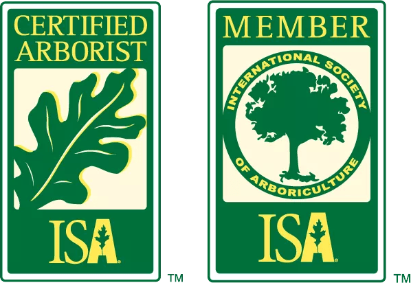 Badge_Member_ISA