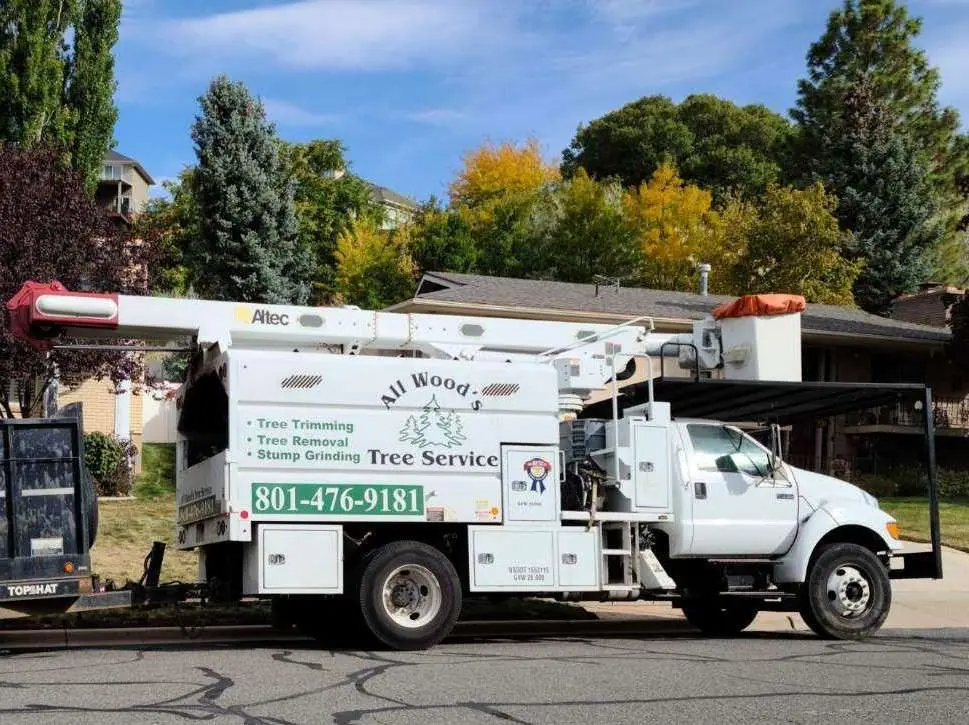 The Crane Used For Tree Trimming