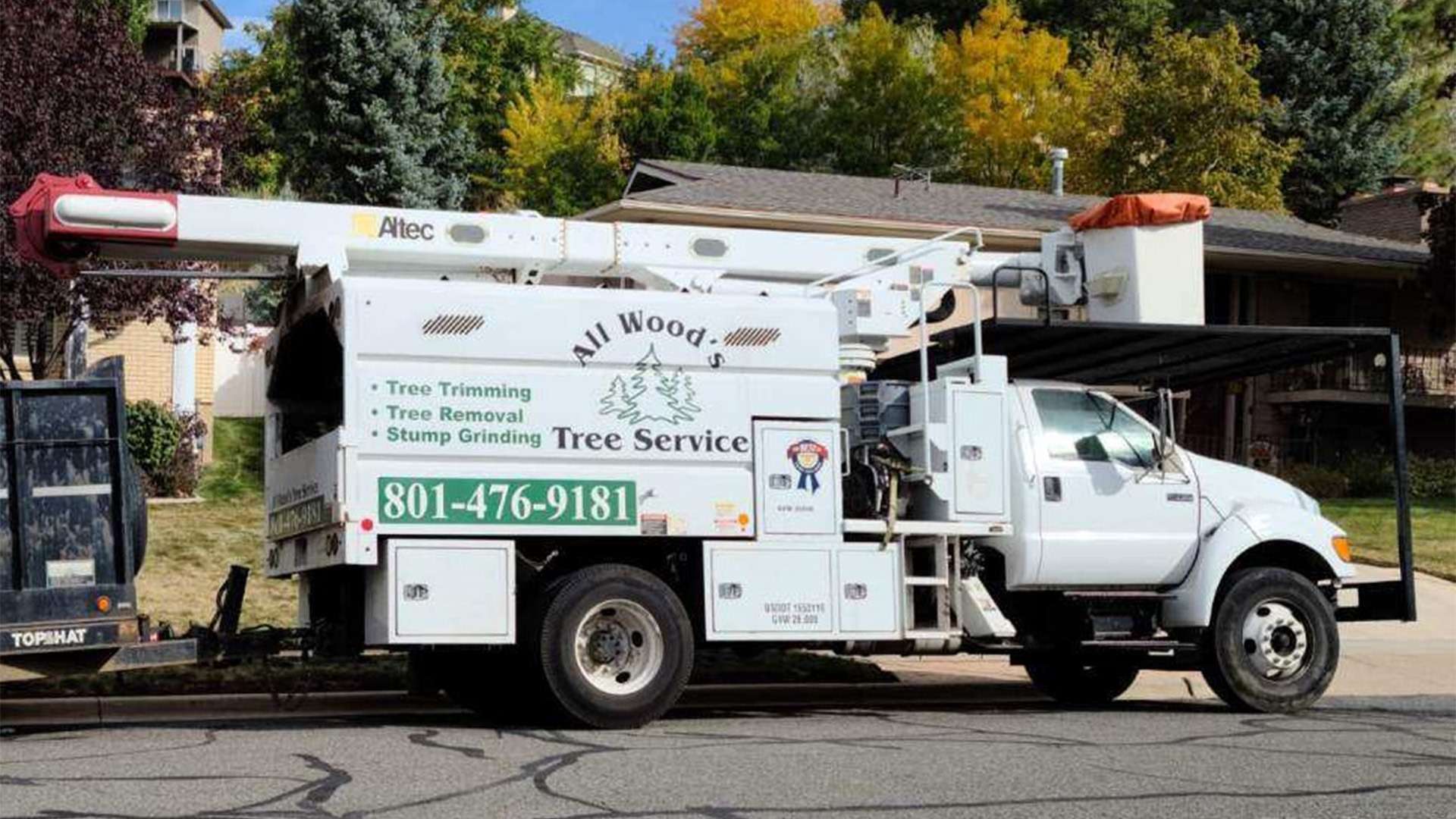 professional tree care services