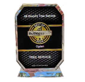 All Woods Award