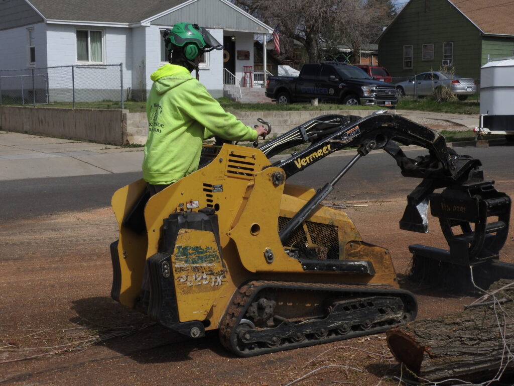 Tree Removal Company in Ogden