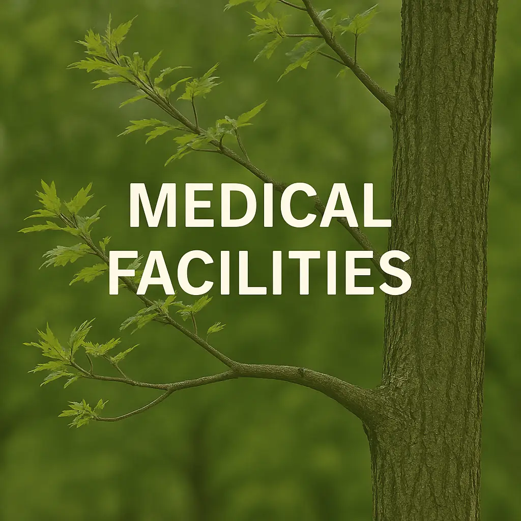 Medical Facilities Tree Services Utah
