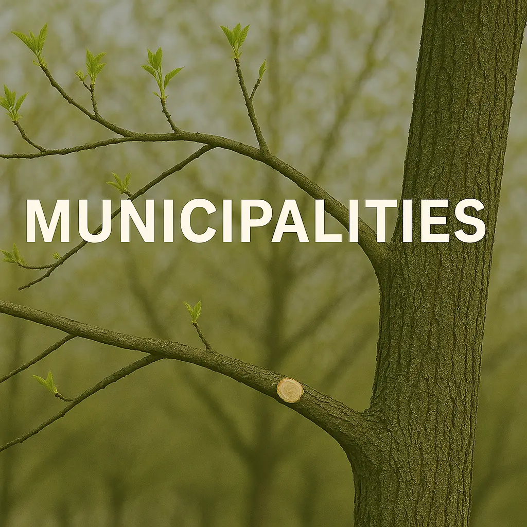 Municipalities Tree Services Utah