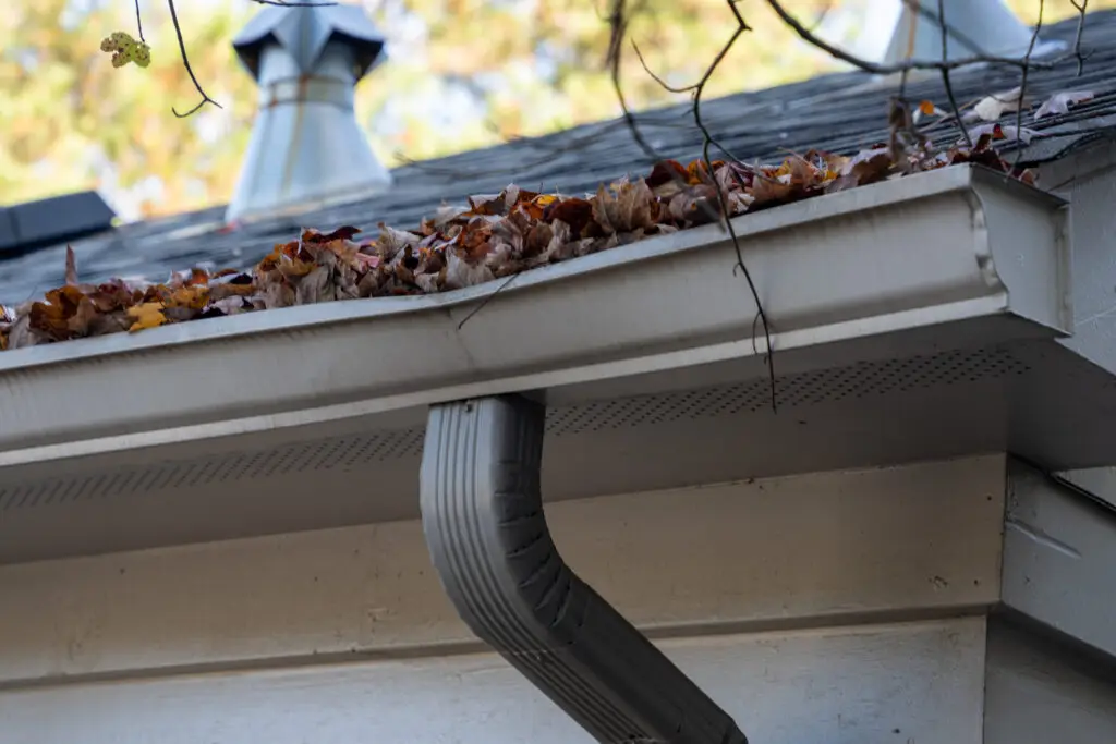 gutter cleaning