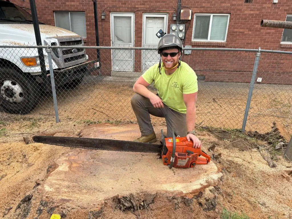 stump removal