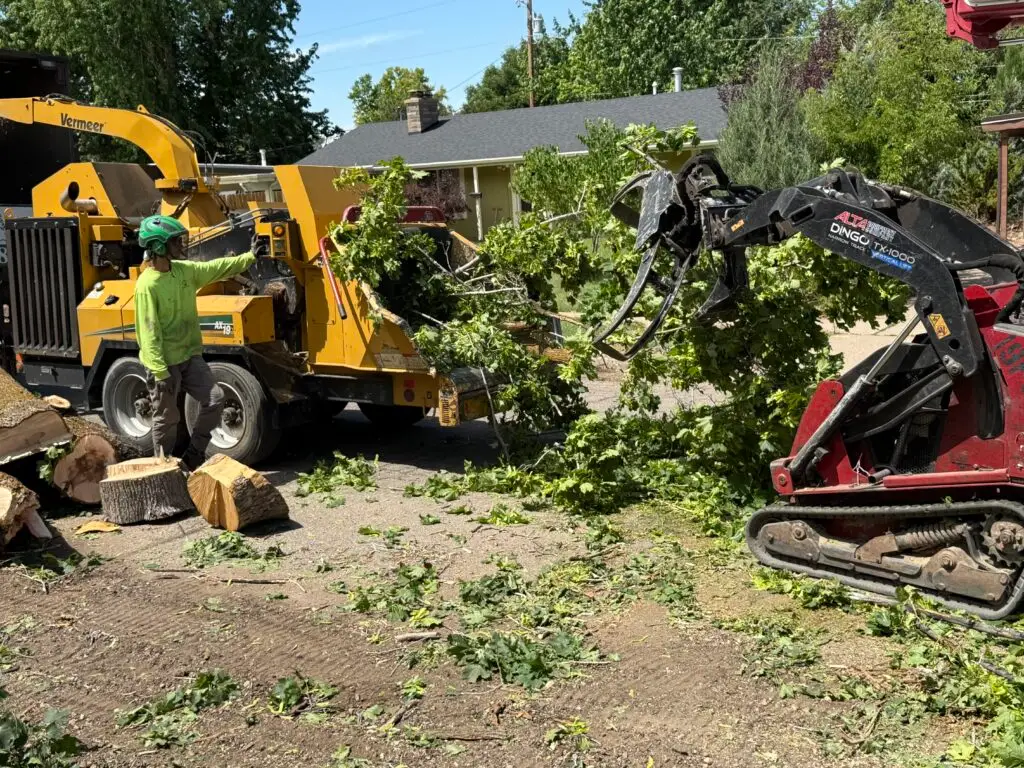 Kaysville and Farmington Tree Removal: Navigating HOA Rules and City Requirements 5 Kaysville Farmington tree removal crew clearing storm damaged tree