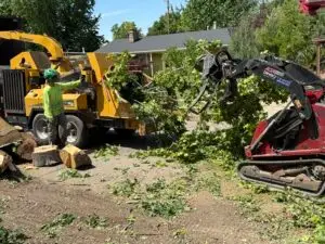 Kaysville Farmington tree removal crew clearing storm damaged tree
