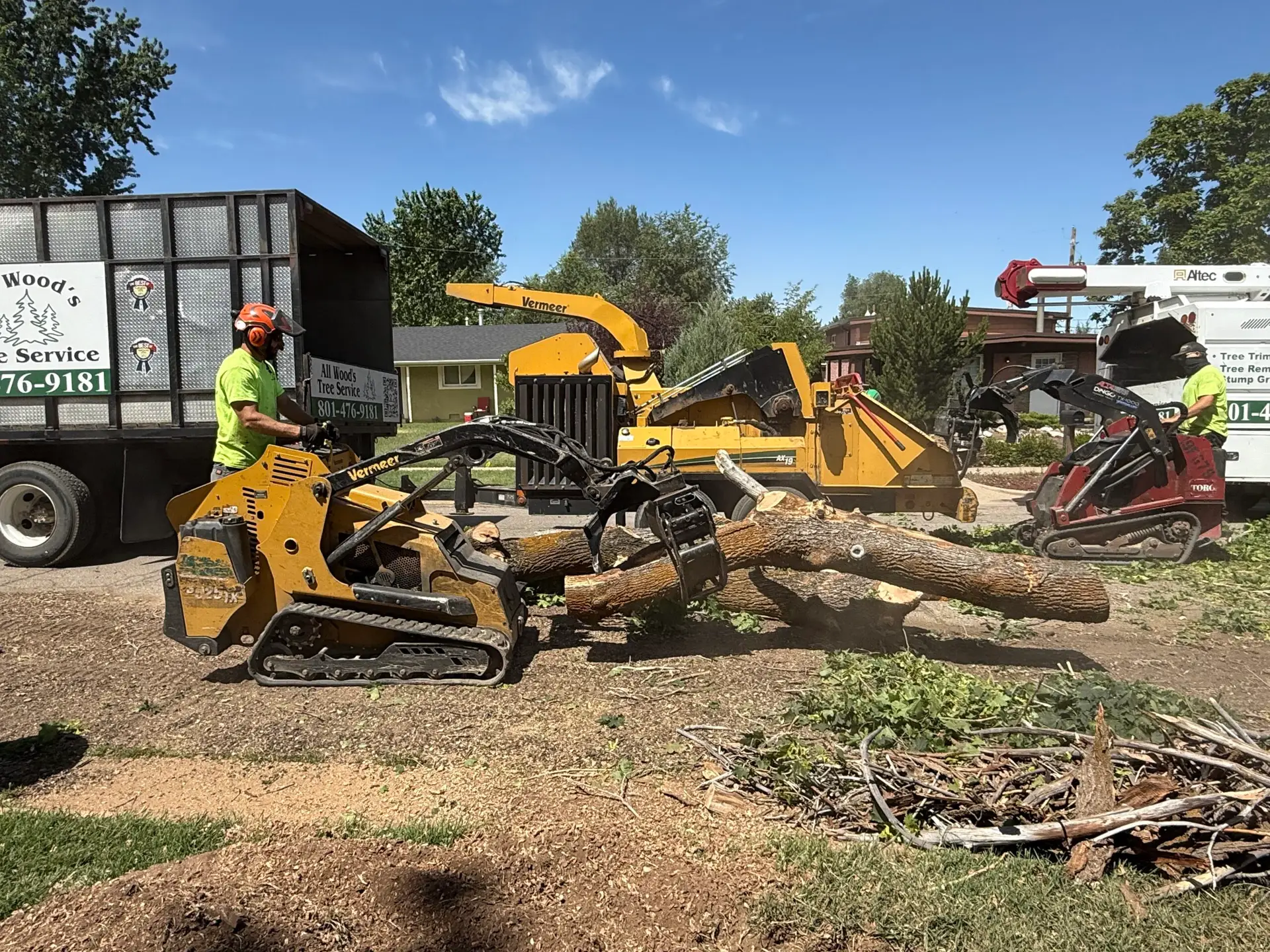 Fast Tree Removal South Weber