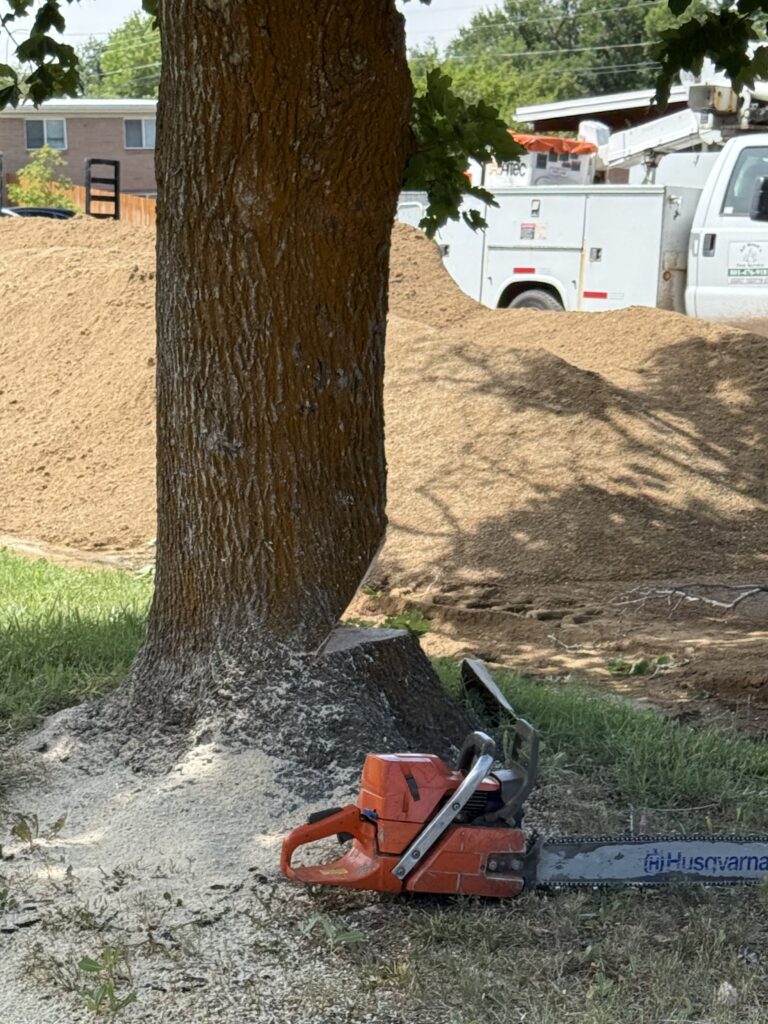 tree removal company clinton Utah