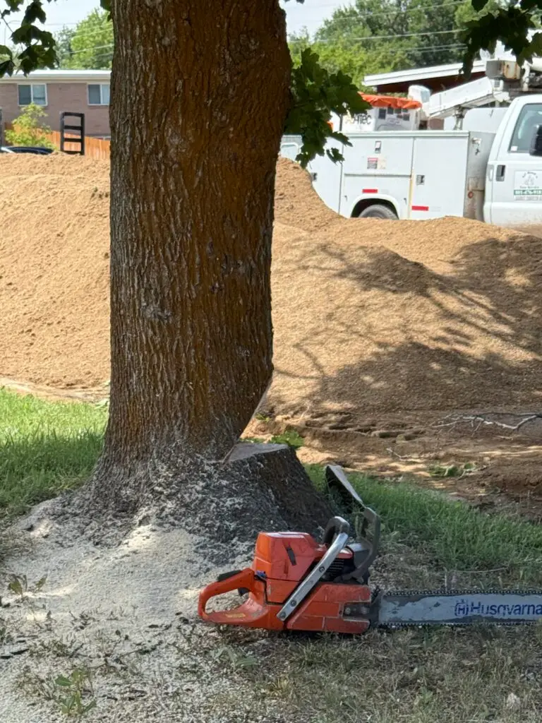 tree removal company clinton Utah