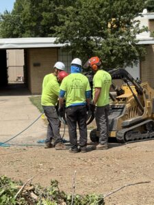 HOA tree trimming schedule crew servicing common area trees