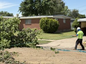 Tree Service Utah