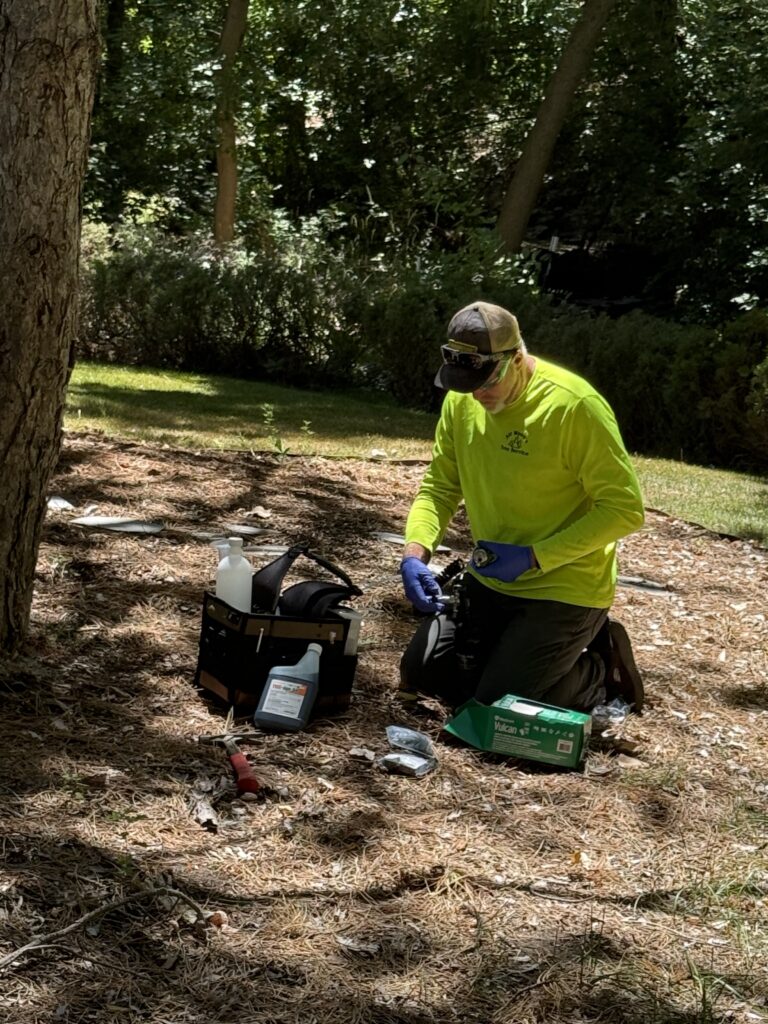 deep root fertilization for trees