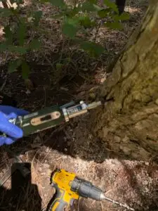 Fall Tree Care in Northern Utah: Why November Is the Time to Act 2 deep root fertilization in Utah