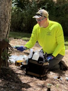 deep root fertilization