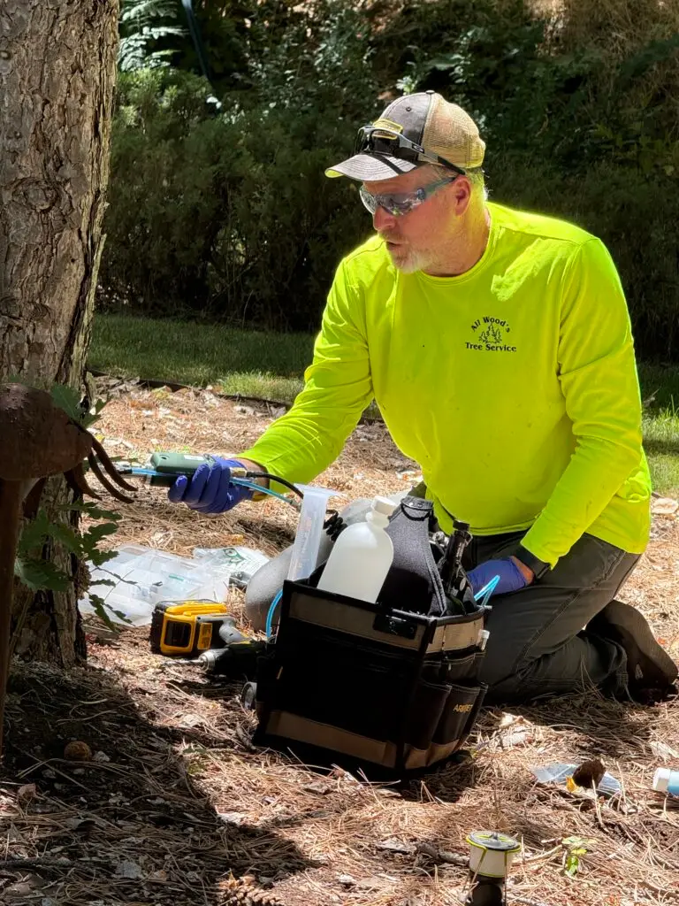 Deep Root Fertilization in Northern Utah: Why Your Trees Need It This Summer 4 deep root fertilization