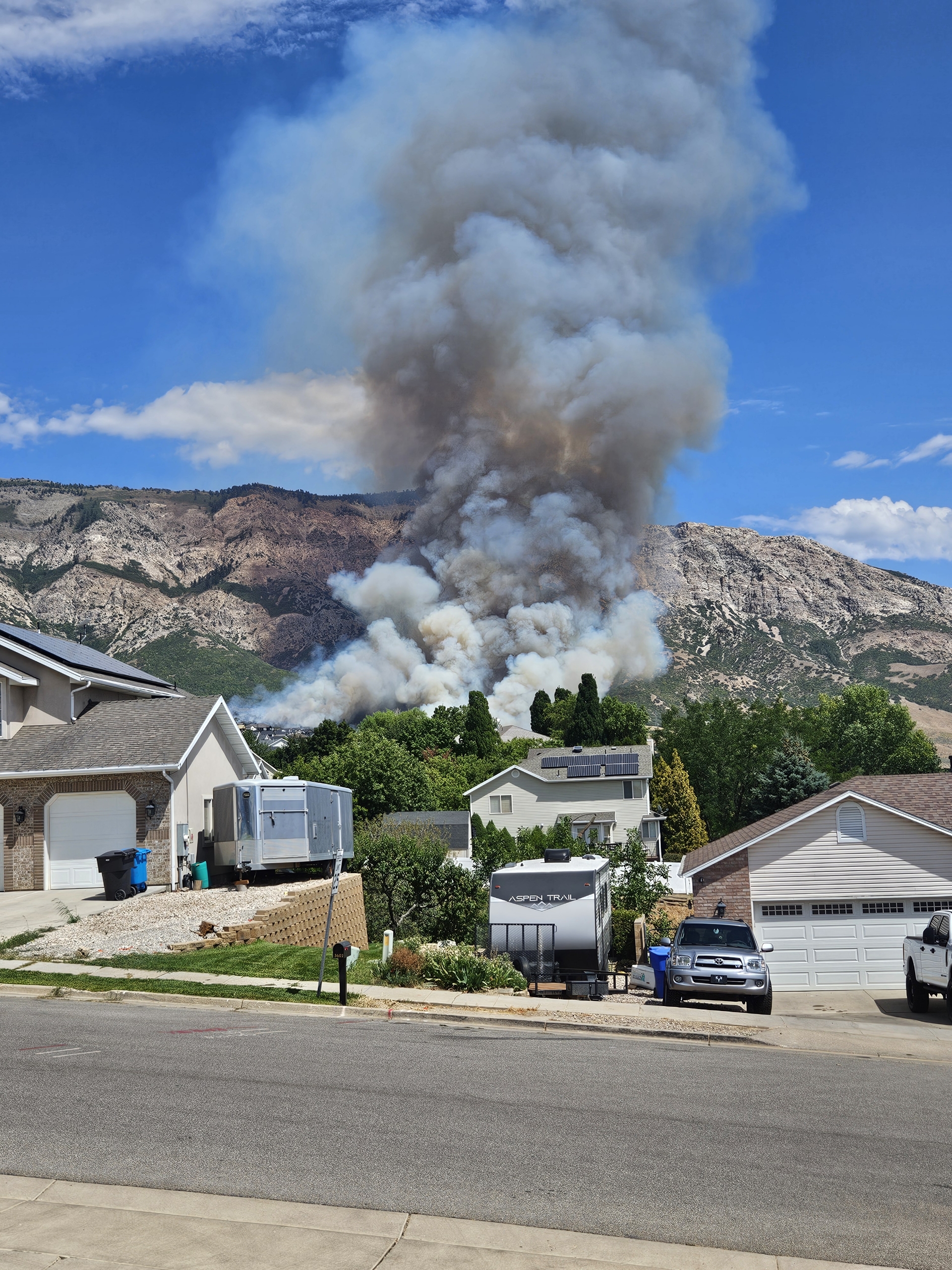 Safely Remove Fire Damaged Trees