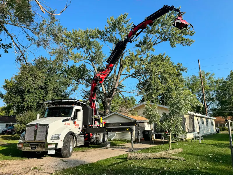 Why HOAs in Davis County Need a Certified Arborist on Retainer 1 Certified arborist Davis County HOA retainer inspection