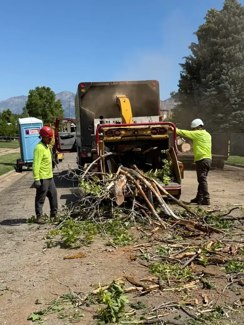Removing Debris after work
