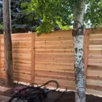 Custom cedar privacy fence with birch tree by All Woods Tree Service in Northern Utah