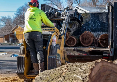tree removal